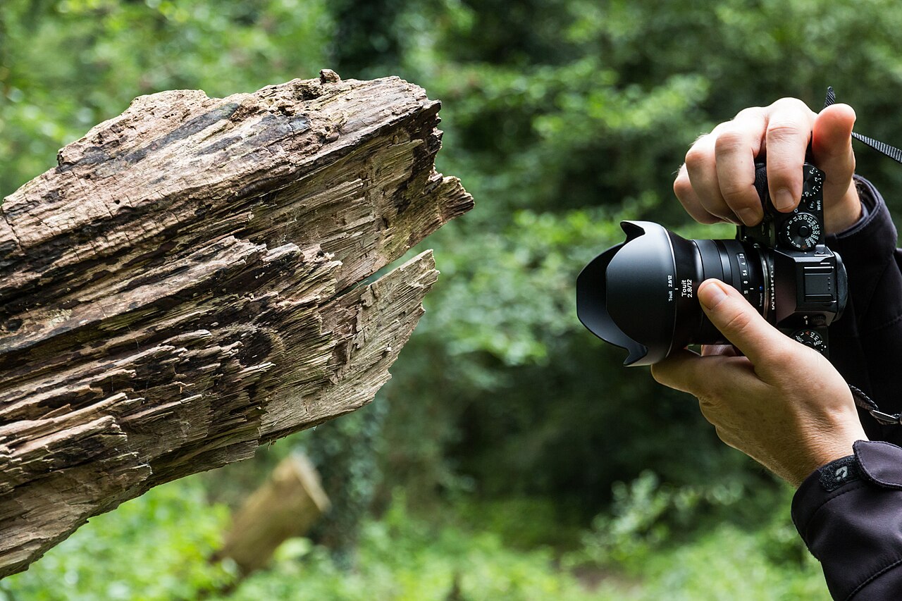 Commercial Photography & RAW Image Editing